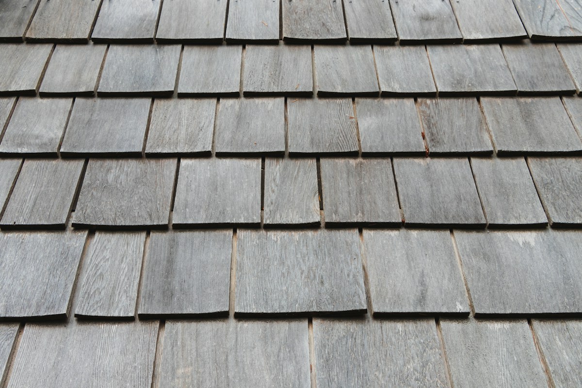 Asphalt shingle close-up